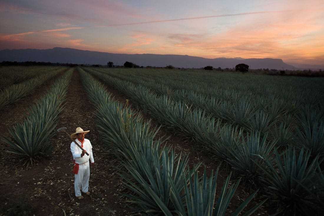 Tequila