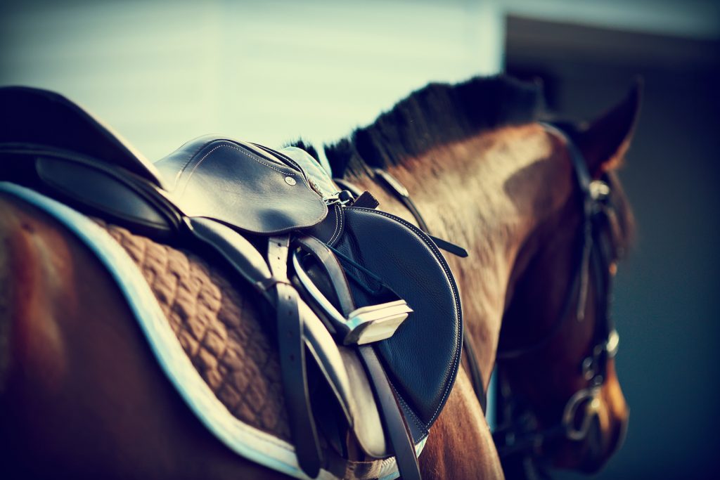 terapia con caballos