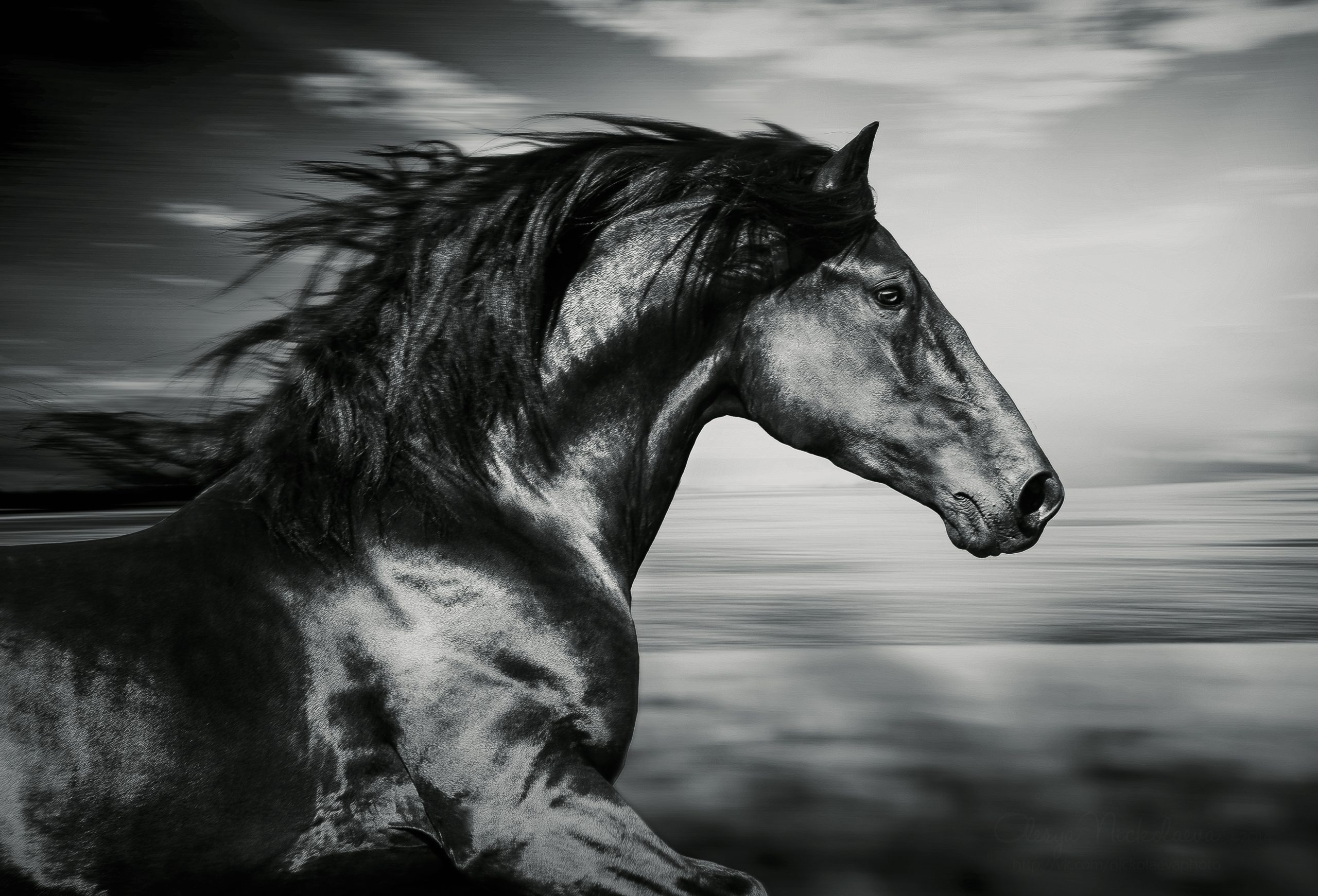 equinoterapia