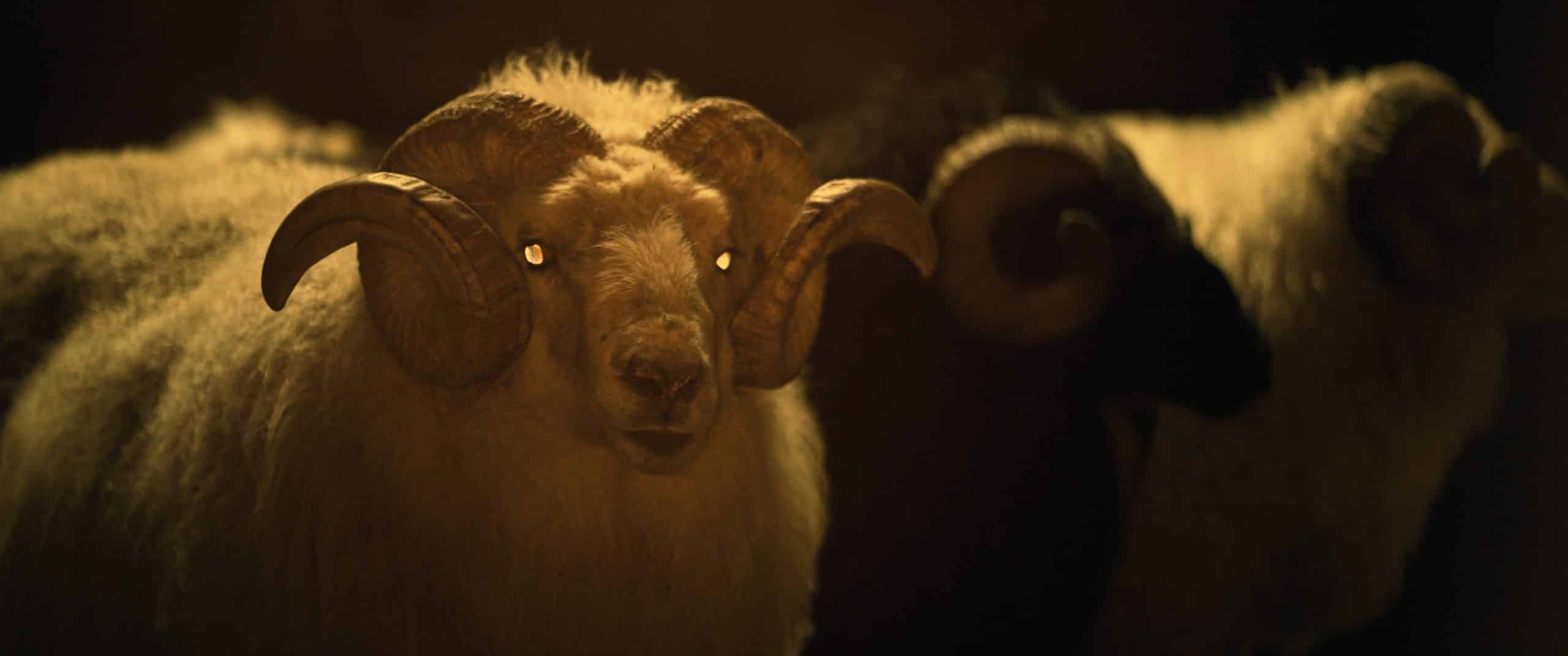 Película Lamb