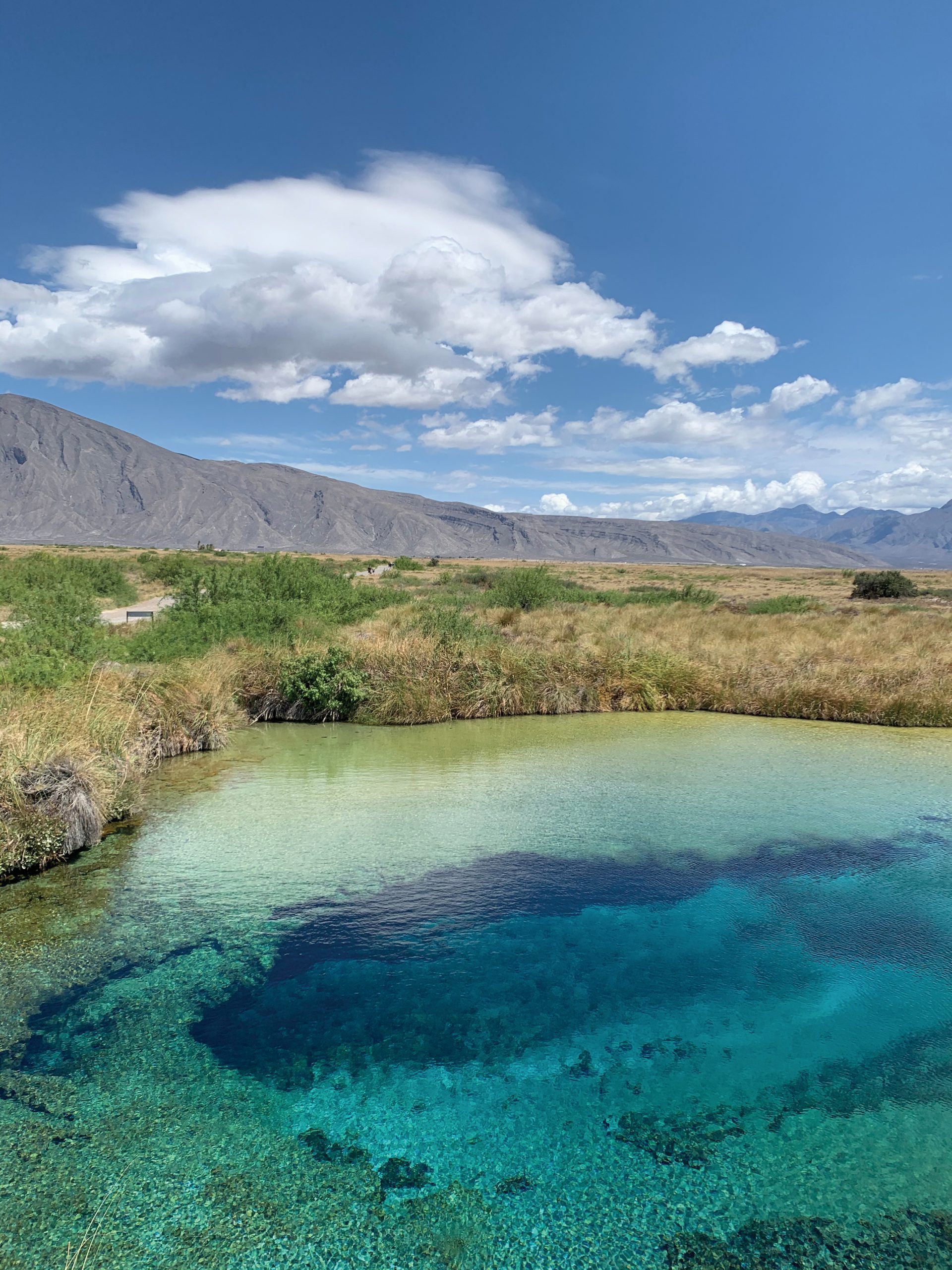 Cuatro Ciénagas, Coahuila