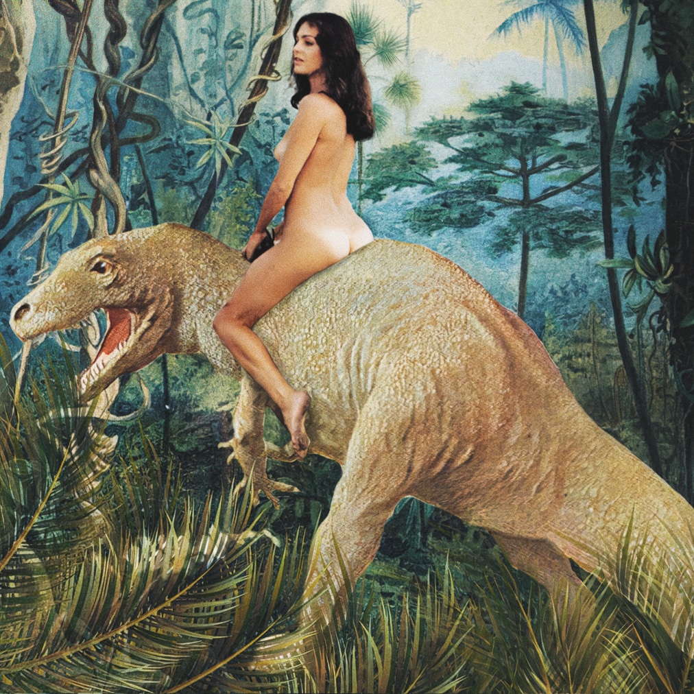 DINO by Lily Daumen©